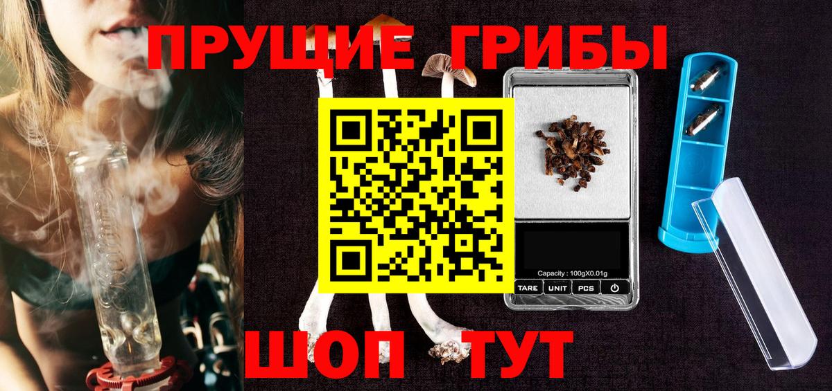 Камень-на-Оби  Галлюциногенные грибы MAGIC MUSHROOMS  Вход с VPN 