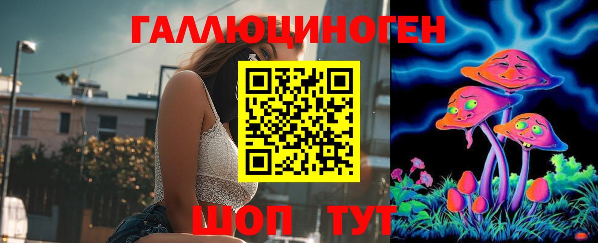 Псилоцибиновые грибы мицелий Камень-на-Оби